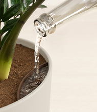 Load image into Gallery viewer, Natural Bamboo stand:all