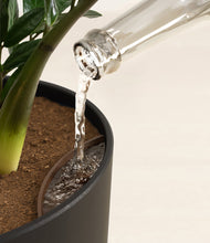 Load image into Gallery viewer, Stone Black stand:all