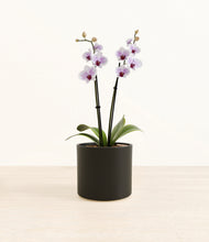 Load image into Gallery viewer, Black*****Profile
