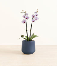 Load image into Gallery viewer, Deep Navy*****Profile
