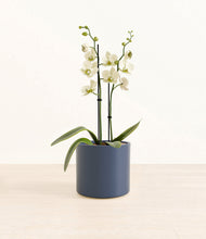 Load image into Gallery viewer, Deep Navy*****Profile
