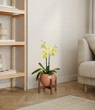Load image into Gallery viewer, Calm Rose stand:walnut

