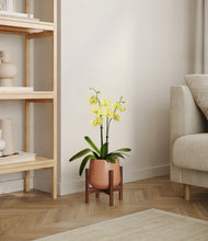 Load image into Gallery viewer, Calm Rose stand:walnut
