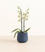 Load image into Gallery viewer, Deep Navy*****Profile

