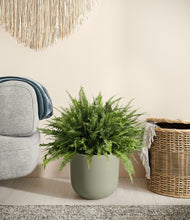 Lade das Bild in den Galerie-Viewer, Sage Green
