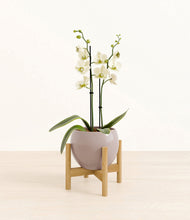 Load image into Gallery viewer, Winter Clouds stand:bamboo
