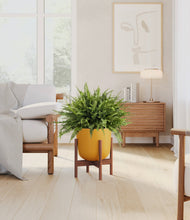 Lade das Bild in den Galerie-Viewer, Sunset Orange stand:dark
