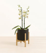 Load image into Gallery viewer, Black stand:bamboo

