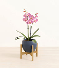 Load image into Gallery viewer, Deep Navy stand:bamboo
