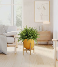 Lade das Bild in den Galerie-Viewer, Sunset Orange stand:light
