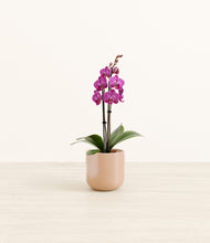 Load image into Gallery viewer, Glossy Pink*****Profile
