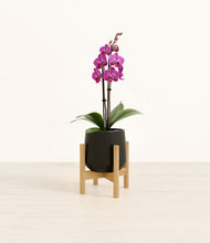 Load image into Gallery viewer, Black stand:bamboo
