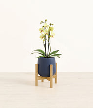 Load image into Gallery viewer, Deep Navy stand:bamboo
