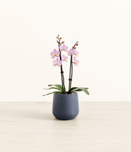 Load image into Gallery viewer, Deep Navy*****Profile
