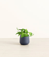 Load image into Gallery viewer, Deep Navy*****Profile
