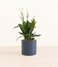 Load image into Gallery viewer, Deep Navy*****Profile
