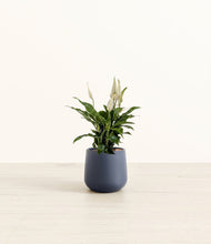 Lade das Bild in den Galerie-Viewer, Deep Navy*****Profile
