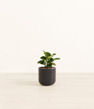 Load image into Gallery viewer, Stone Black*****Profile
