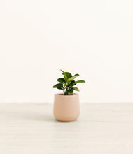 Load image into Gallery viewer, Gentle Pink*****Profile
