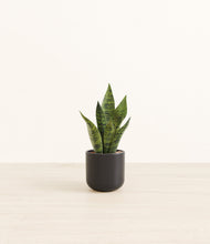 Load image into Gallery viewer, Stone Black*****Profile
