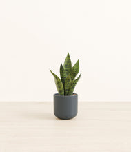 Load image into Gallery viewer, Iron Gray*****Profile
