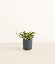 Load image into Gallery viewer, Iron Gray*****Profile
