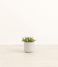 Load image into Gallery viewer, Snowdrift White*****Profile
