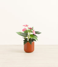 Load image into Gallery viewer, Glossy Red*****Profile
