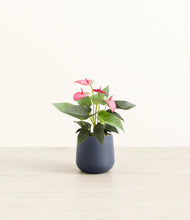 Load image into Gallery viewer, Deep Navy*****Profile
