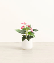 Load image into Gallery viewer, White*****Profile
