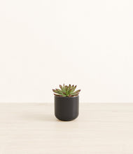 Load image into Gallery viewer, Stone Black*****Profile
