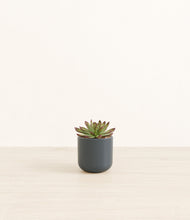 Load image into Gallery viewer, Iron Gray*****Profile
