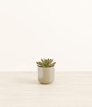 Load image into Gallery viewer, Sage Green*****Profile
