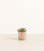 Load image into Gallery viewer, Glossy Pink*****Profile
