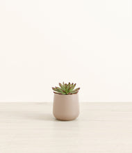 Load image into Gallery viewer, Eternal Gray*****Profile
