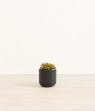 Load image into Gallery viewer, Stone Black*****Profile

