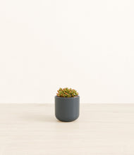 Load image into Gallery viewer, Iron Gray*****Profile
