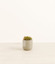 Load image into Gallery viewer, Sage Green*****Profile
