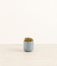 Load image into Gallery viewer, Misty Blue*****Profile
