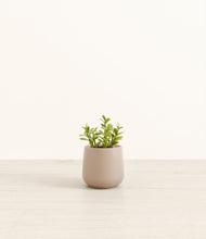 Load image into Gallery viewer, Eternal Gray*****Profile
