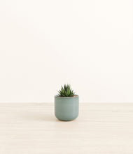 Load image into Gallery viewer, Reactive Aqua*****Profile
