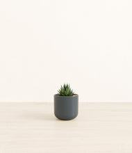 Load image into Gallery viewer, Iron Gray*****Profile
