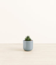 Load image into Gallery viewer, Misty Blue*****Profile
