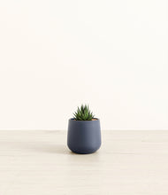 Load image into Gallery viewer, Deep Navy*****Profile
