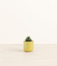 Load image into Gallery viewer, Key Lime Yellow*****Profile
