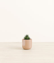 Load image into Gallery viewer, Glossy Pink*****Profile
