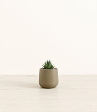 Load image into Gallery viewer, Olive*****Profile
