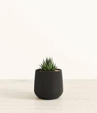 Load image into Gallery viewer, Black*****Succulent
