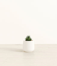 Load image into Gallery viewer, White*****Profile
