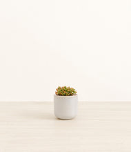 Load image into Gallery viewer, Snowdrift White*****Profile
